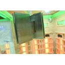 Infrarotkabine Dalen Sauna Vollspektrumstrahler DUALTHERM Salzstein Infrarot